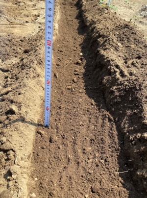 ジャガイモ植え付け用溝