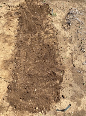 ジャガイモ植え付け 土戻し