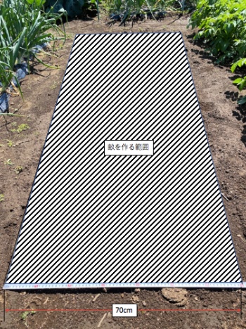 オクラの種蒔き 畝作り前