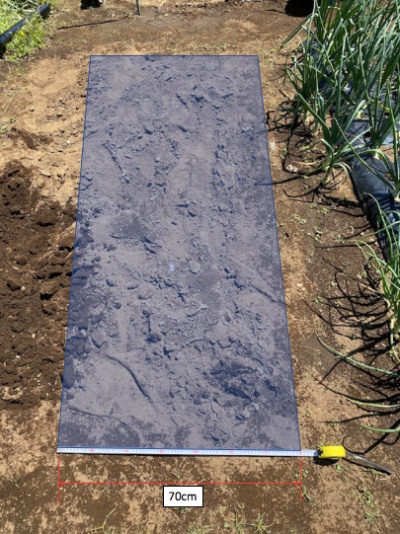 チンゲンサイ 畝作る前