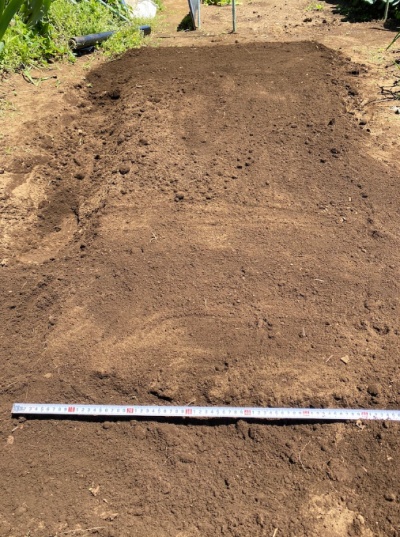 チンゲンサイ 畝作成中